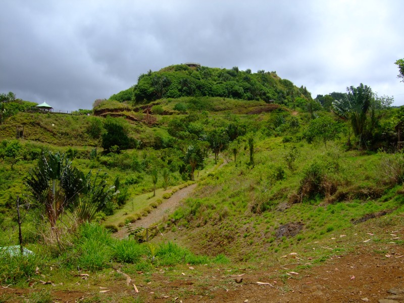 Mauritius 2010 - 0292 